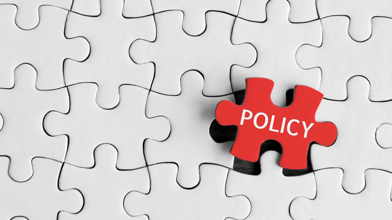 A jigsaw with the word policy standing out